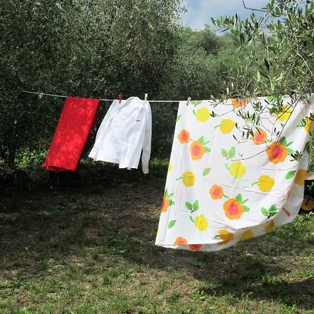 Sul Cammino *