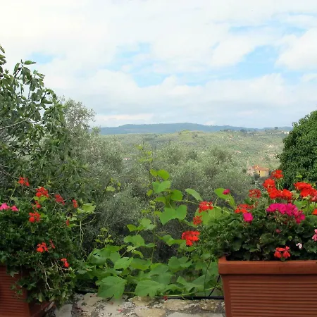 Sul Cammino Oneglia